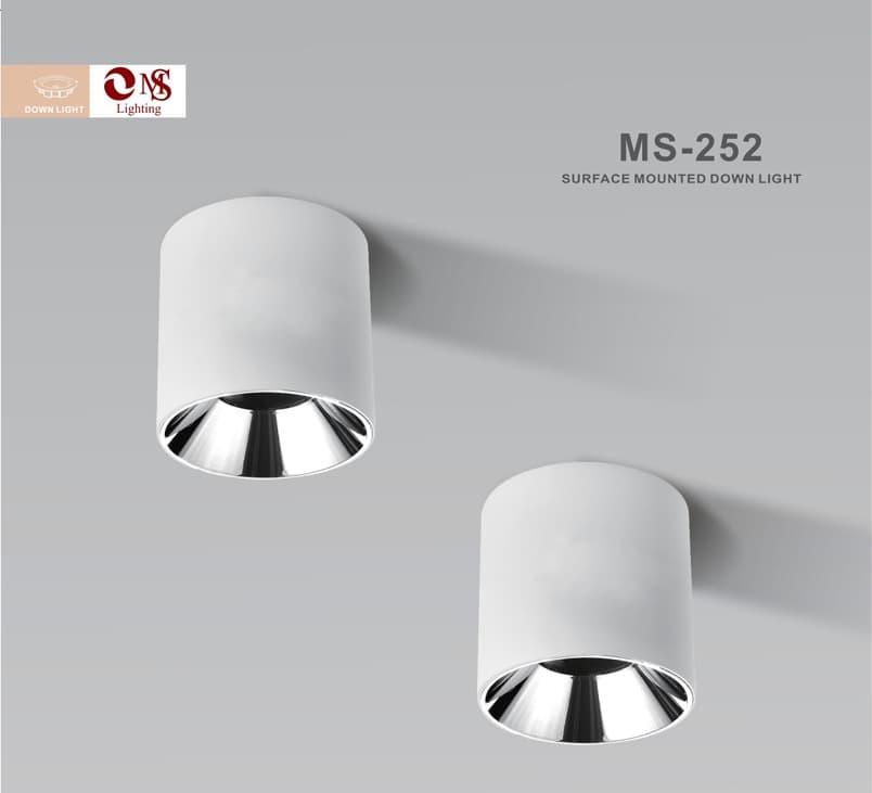 MS-252