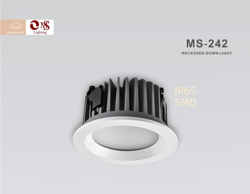 MS-242