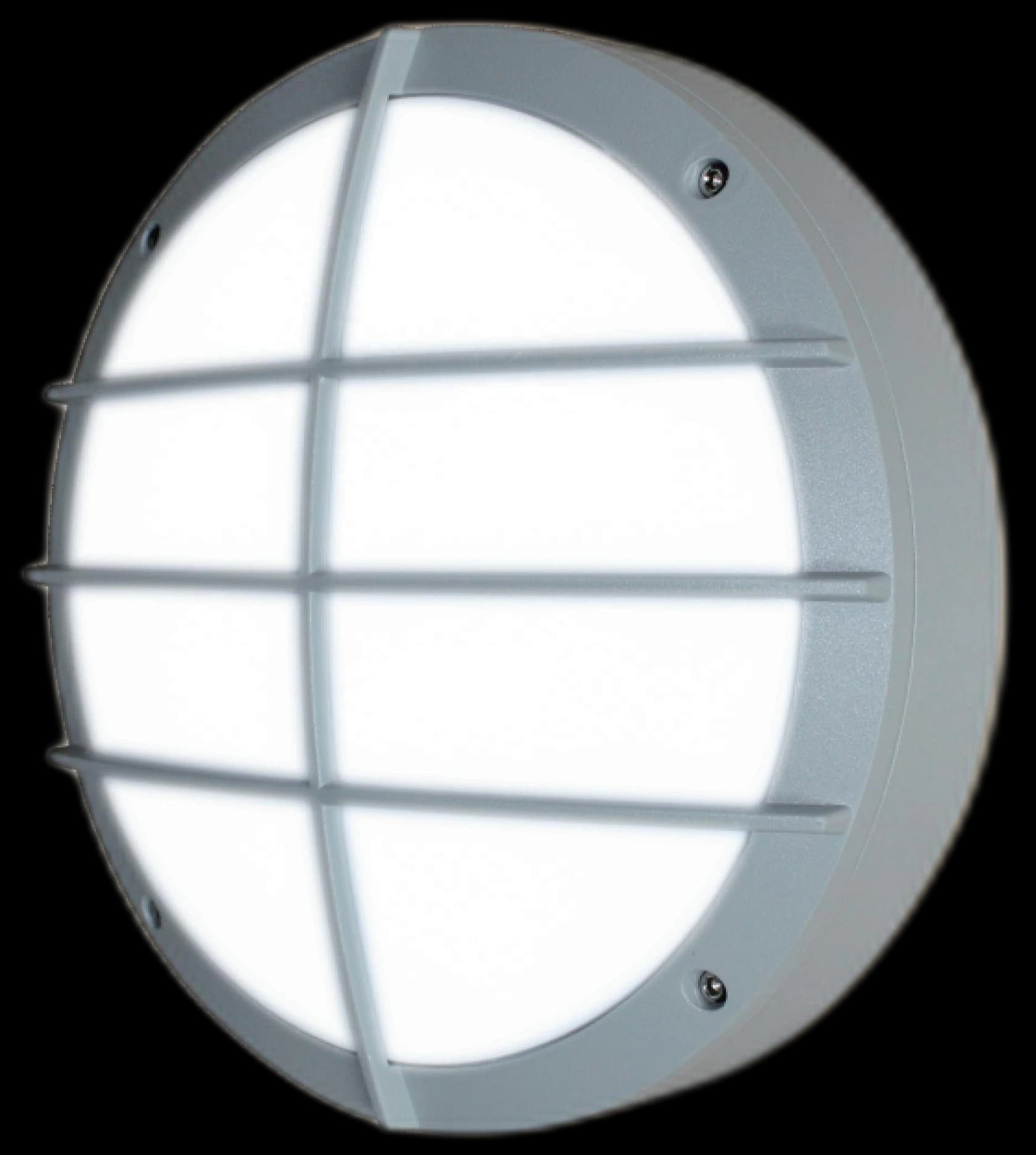 MS-W26 Wall Light