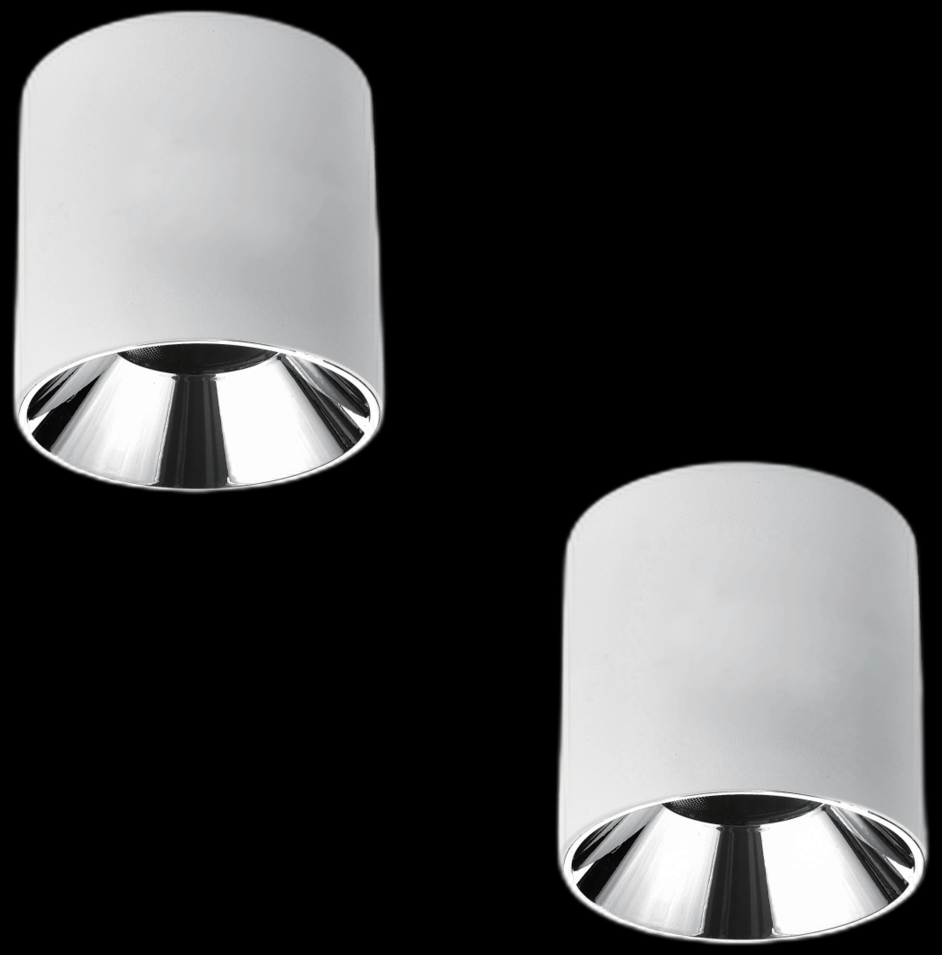 MS-252 Surface Mounted Down Light